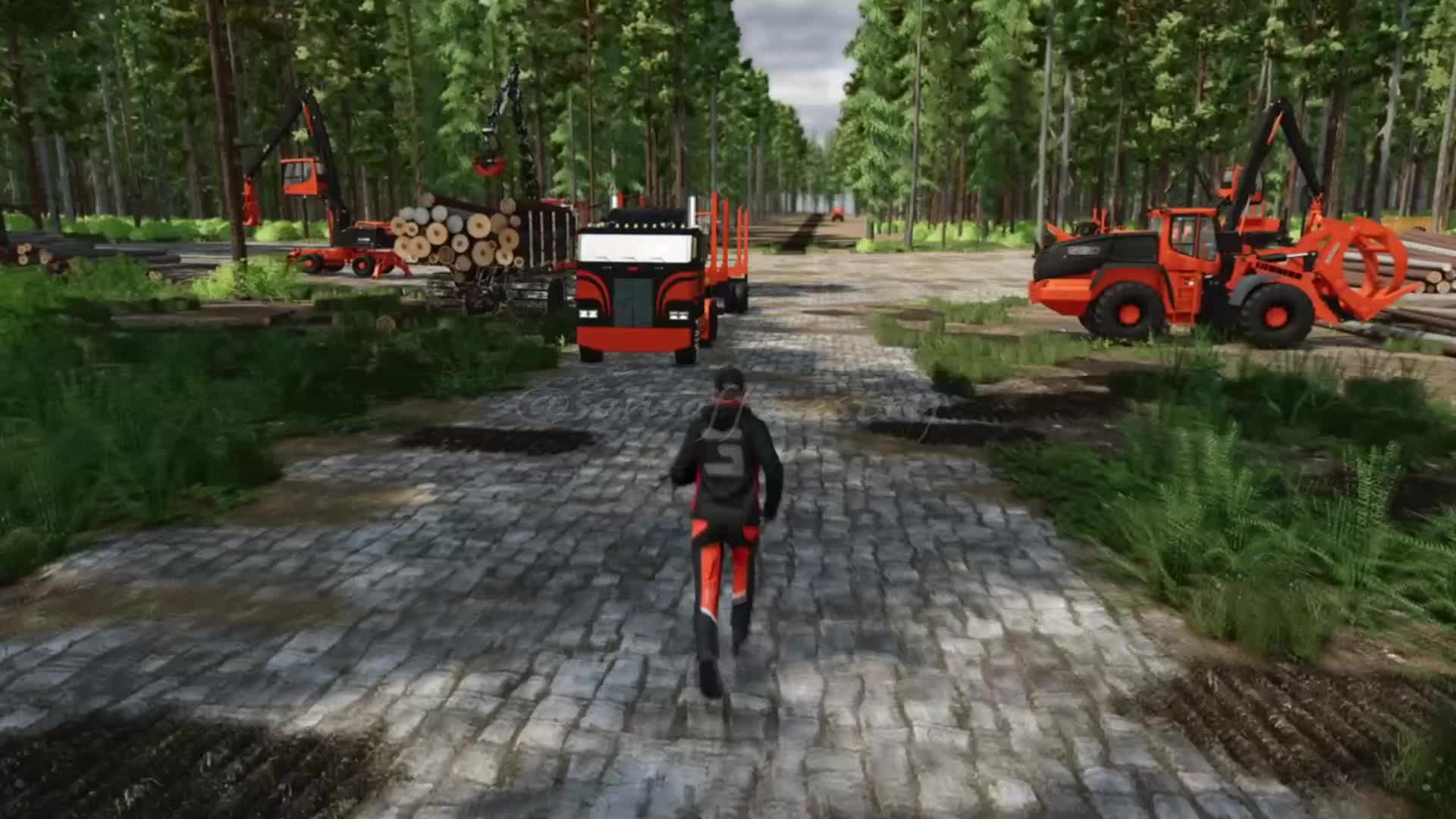 @SONS OF FORESTRY
