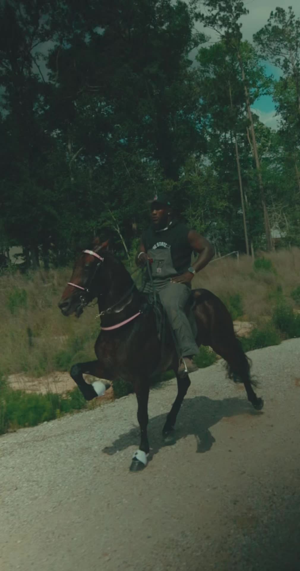 @Devin White ๐ GetLiveStables