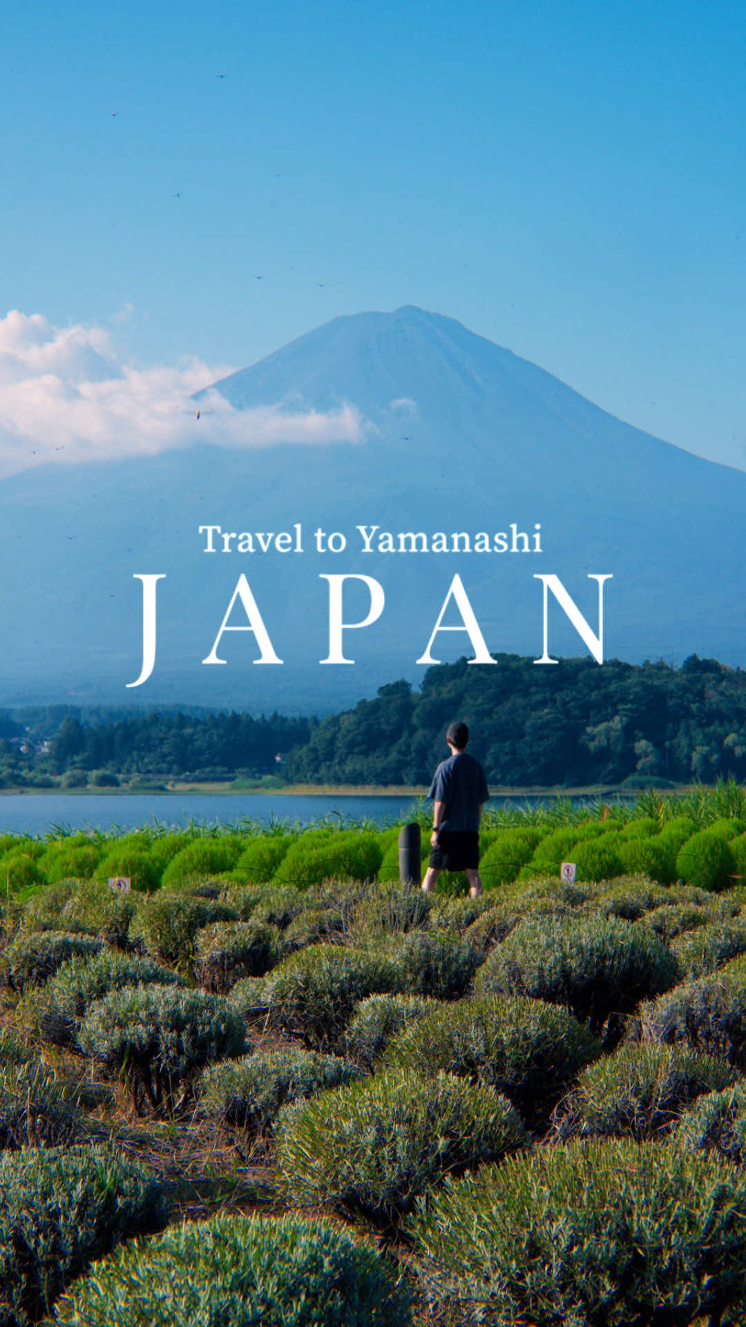 @Cotton | Japan Travel ð¯ðµ