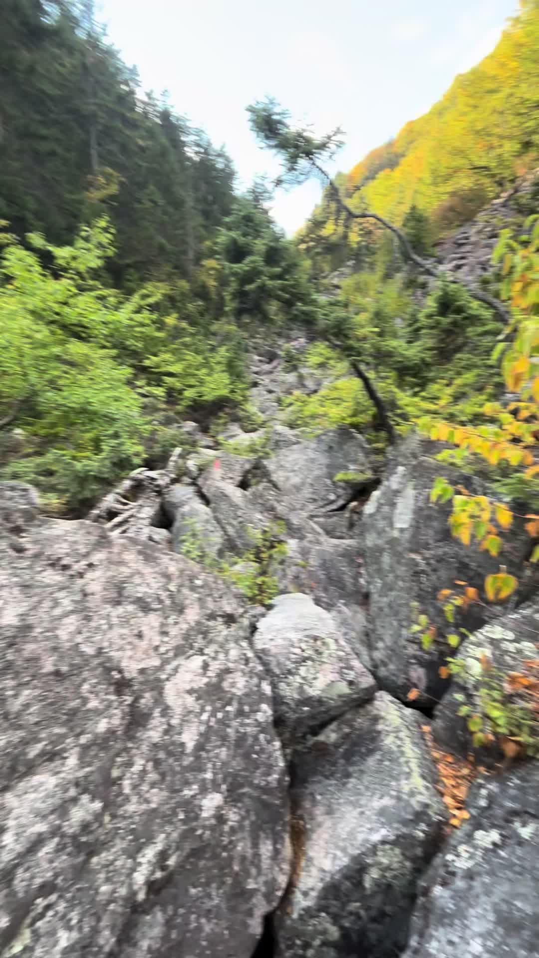 @💙The Sober Wanderer💙⛰️🥾🏕️