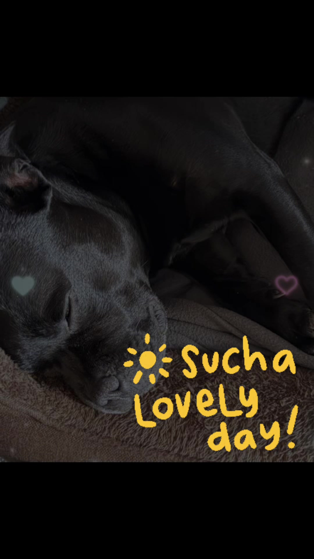 @Cadan