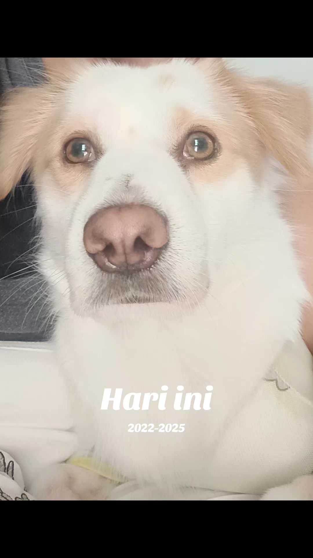 @𝗺𝟒𝗿𝗹𝗶𝗻_𝟕𝟔
