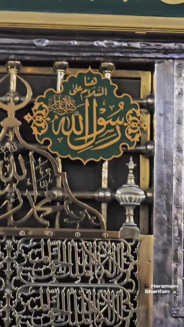 @user82088096830