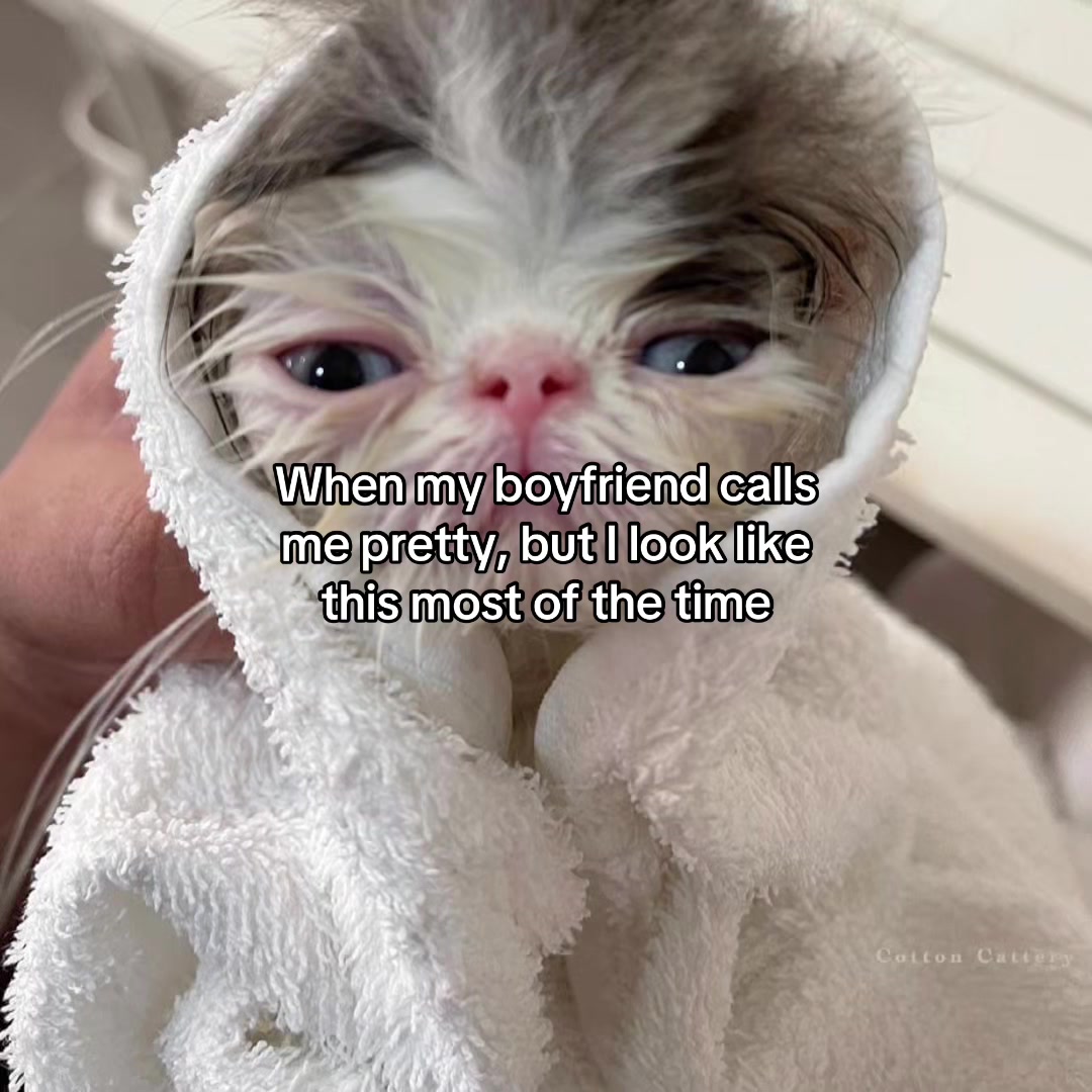 @Alice.cattok