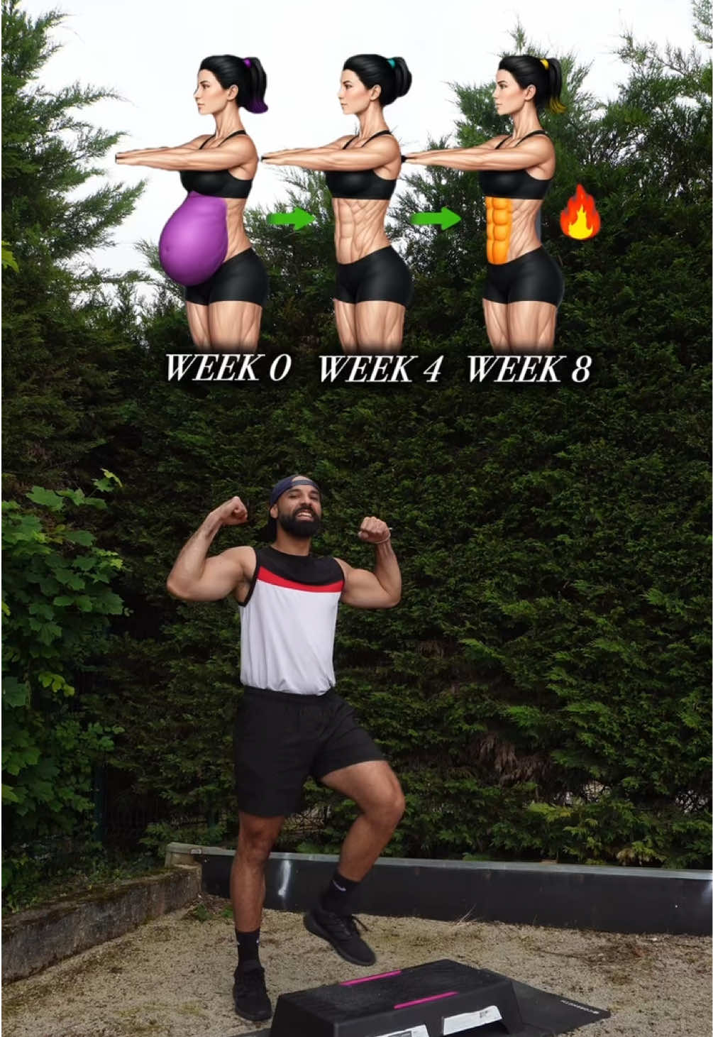 @MT trainer
