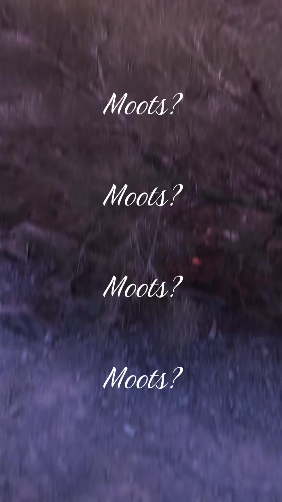 @mootsforevery0ne