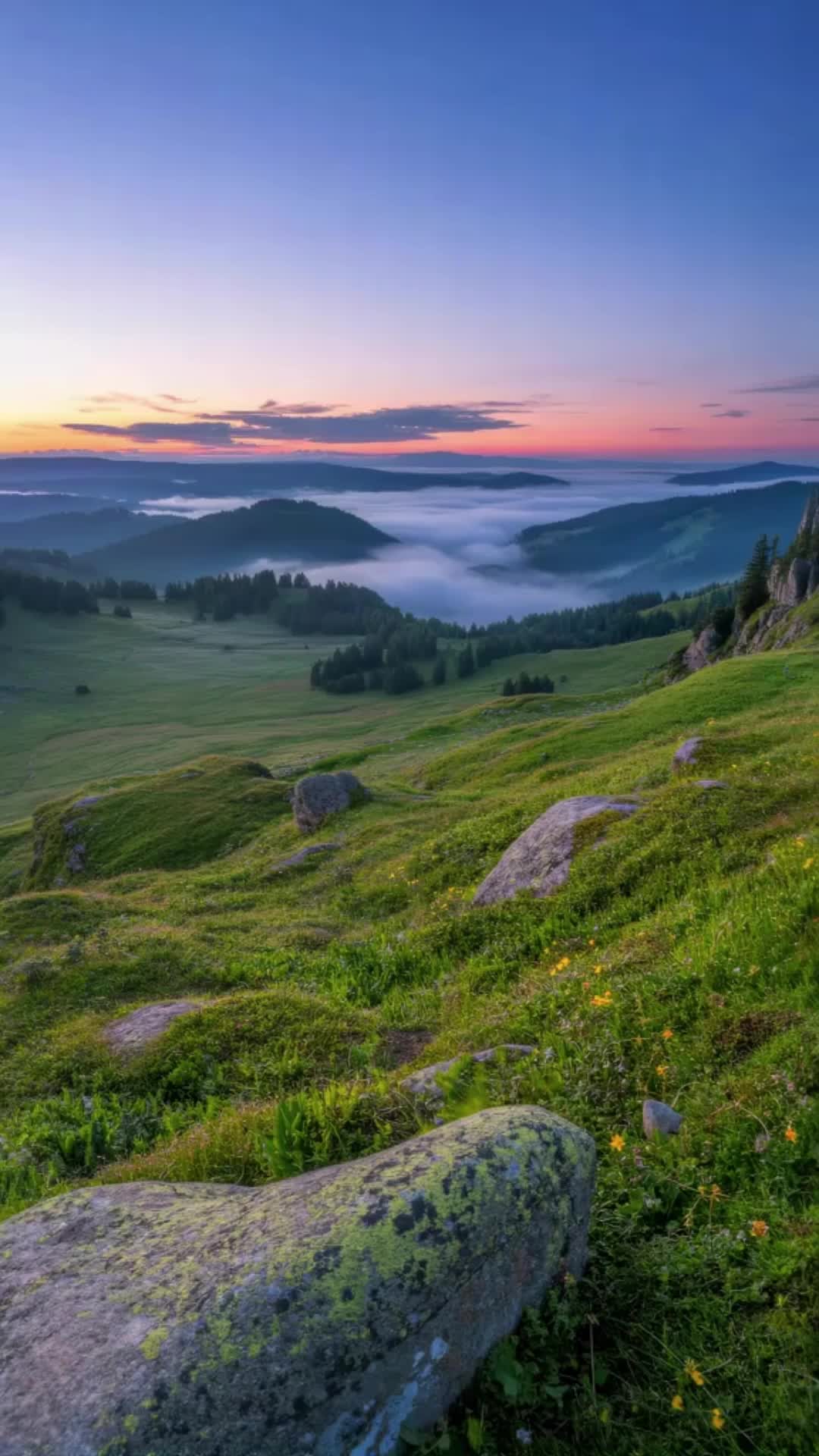 @lrdgdwxpq03212