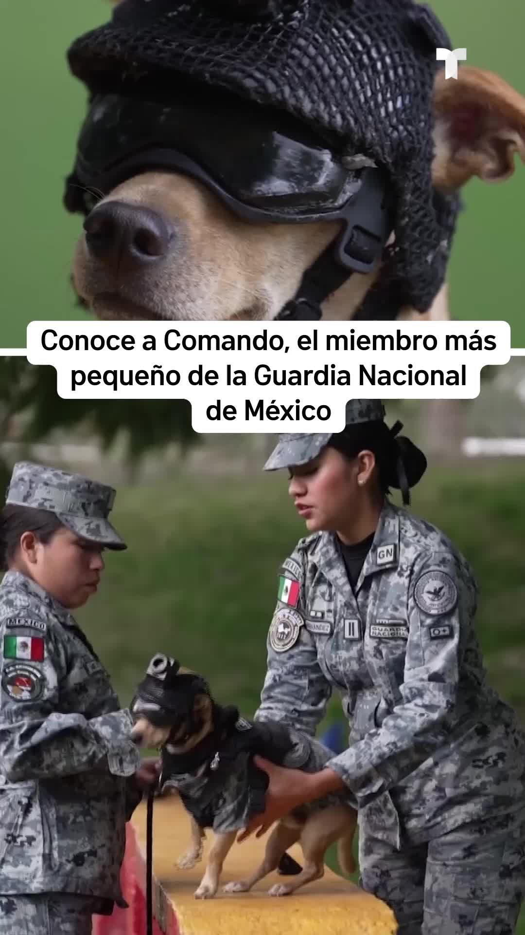 @telemundosandiego