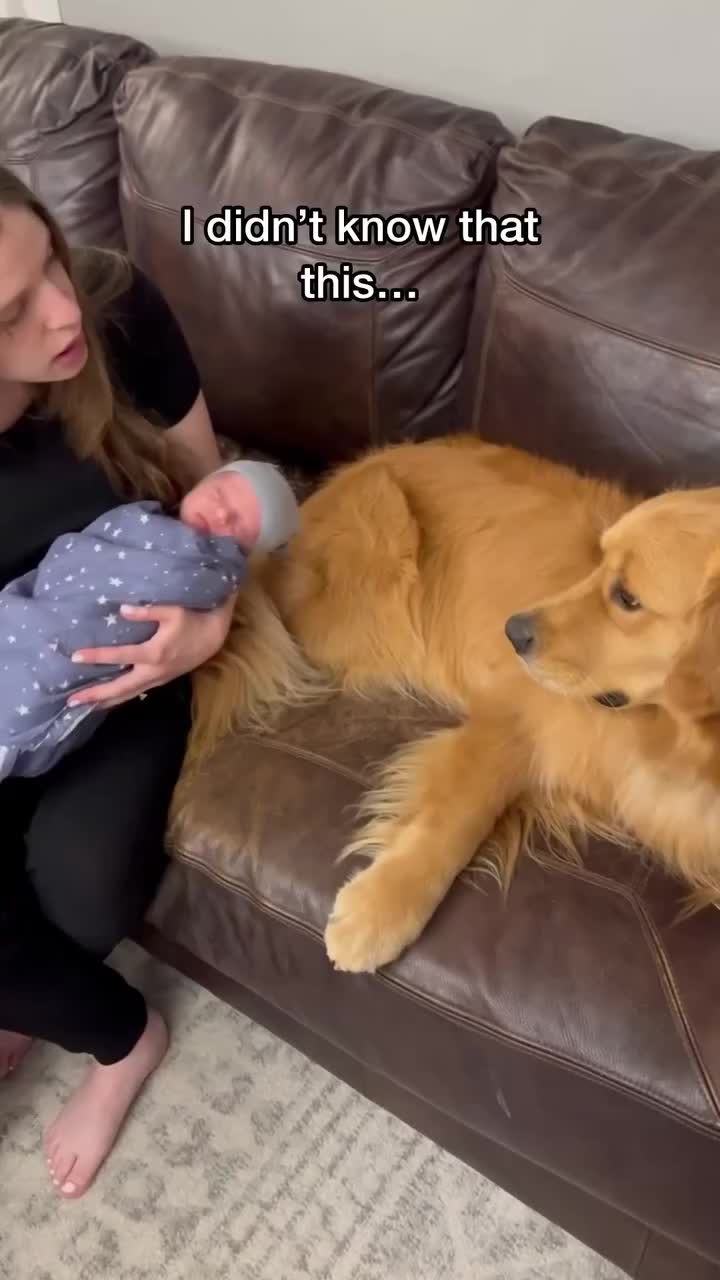 @Dev | mom + dog mom