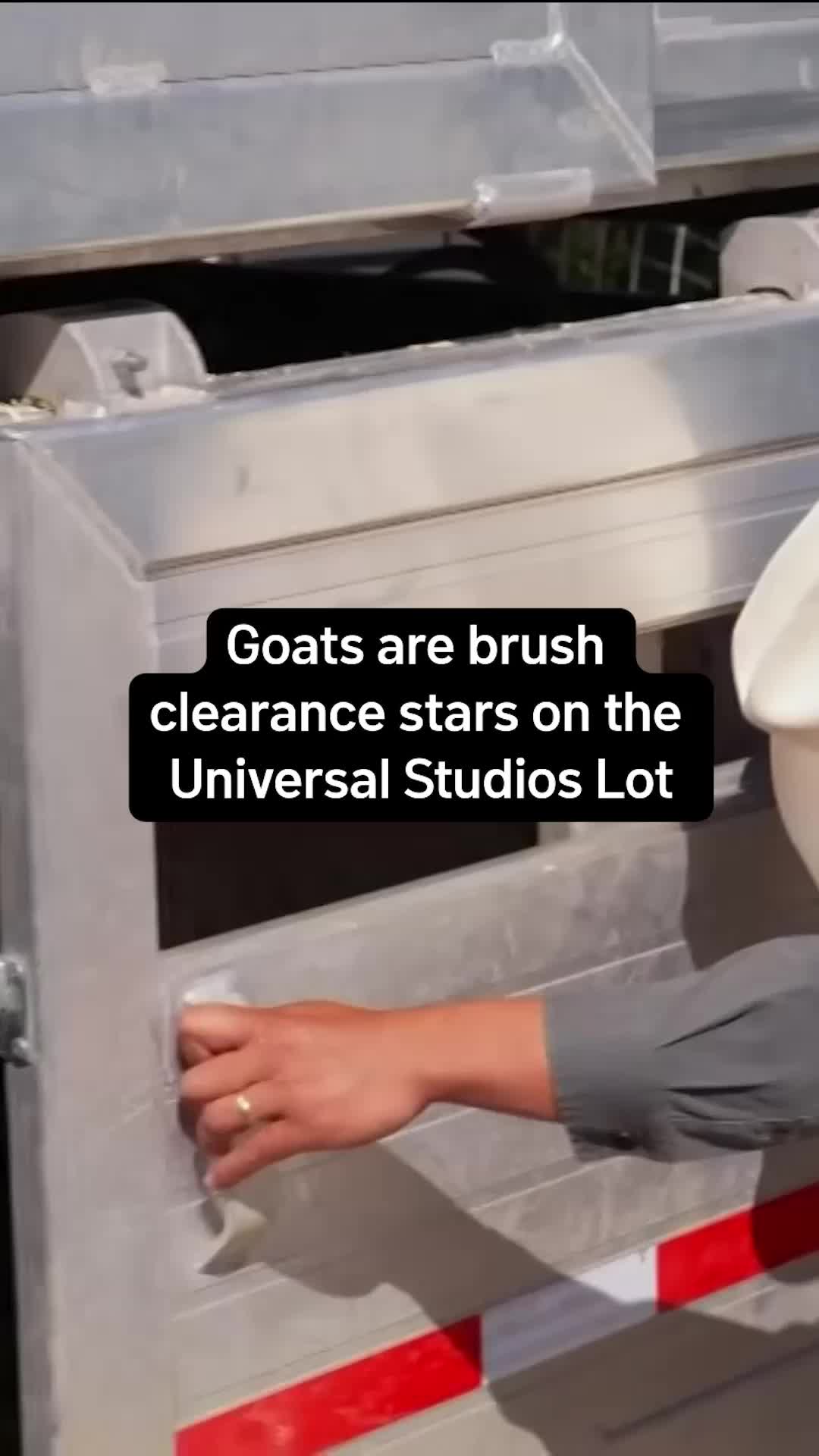 @NBC Los Angeles