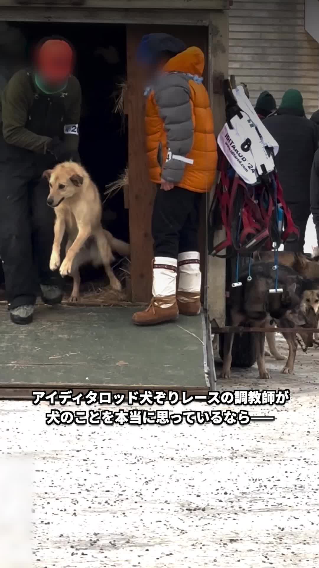 @PETAアジア 動物の倫理的扱いを求める人々の会 JAPAN