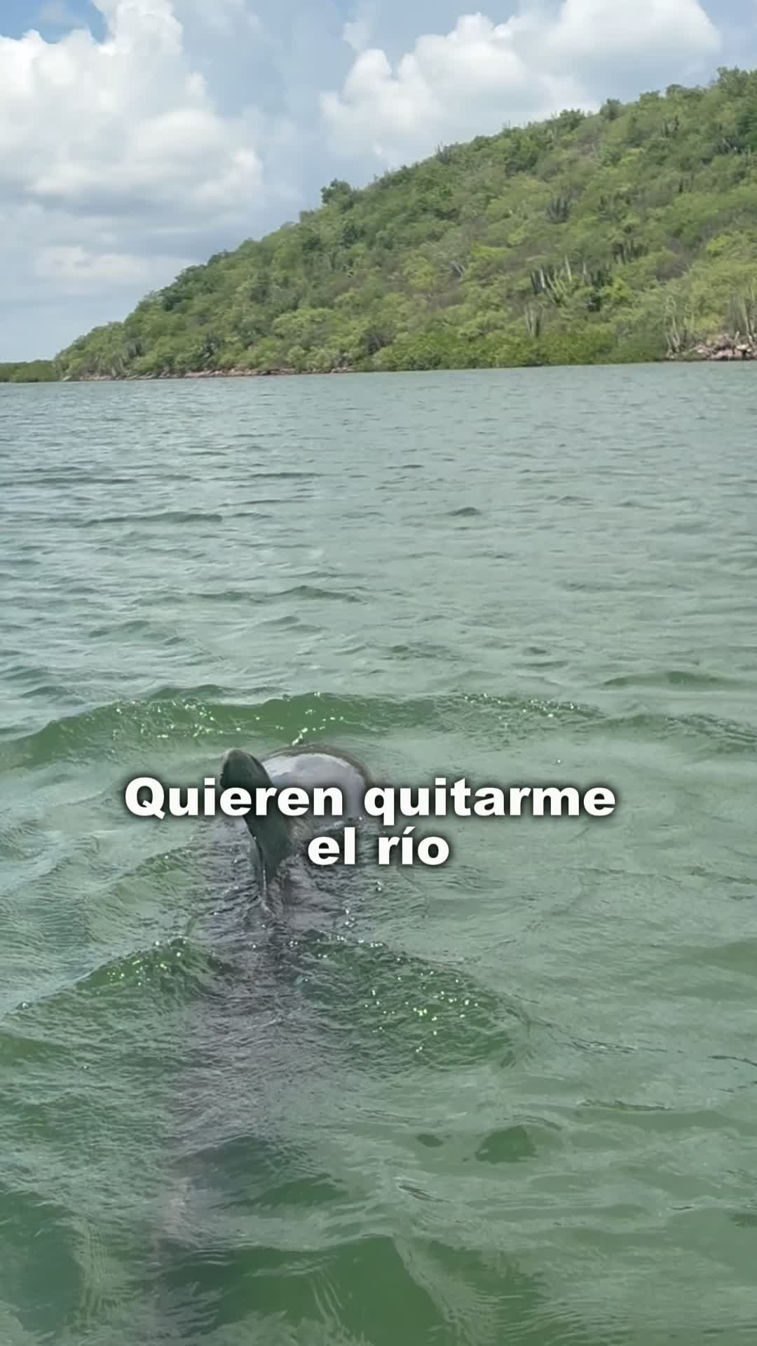 @Greenpeace México