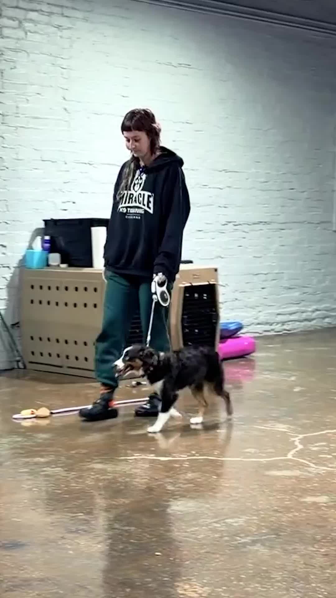 @Miracle K9 Training