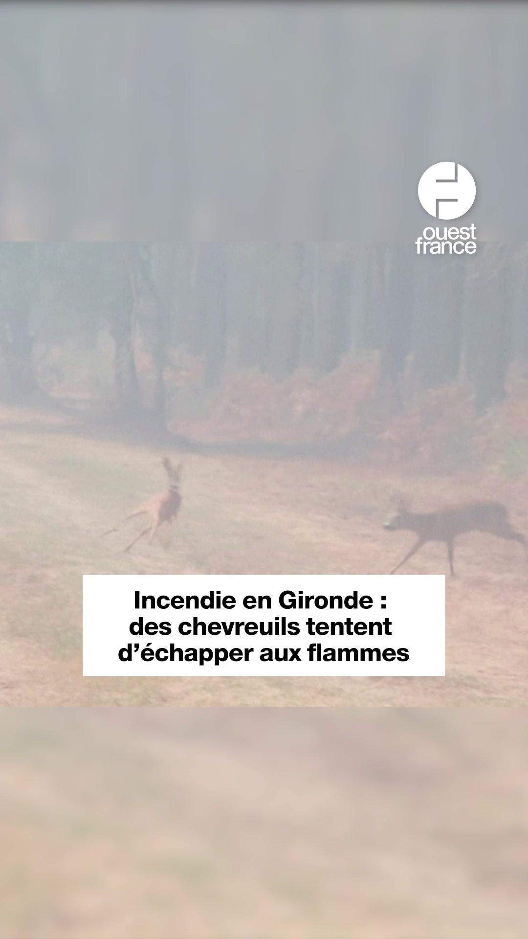 @ouestfrance