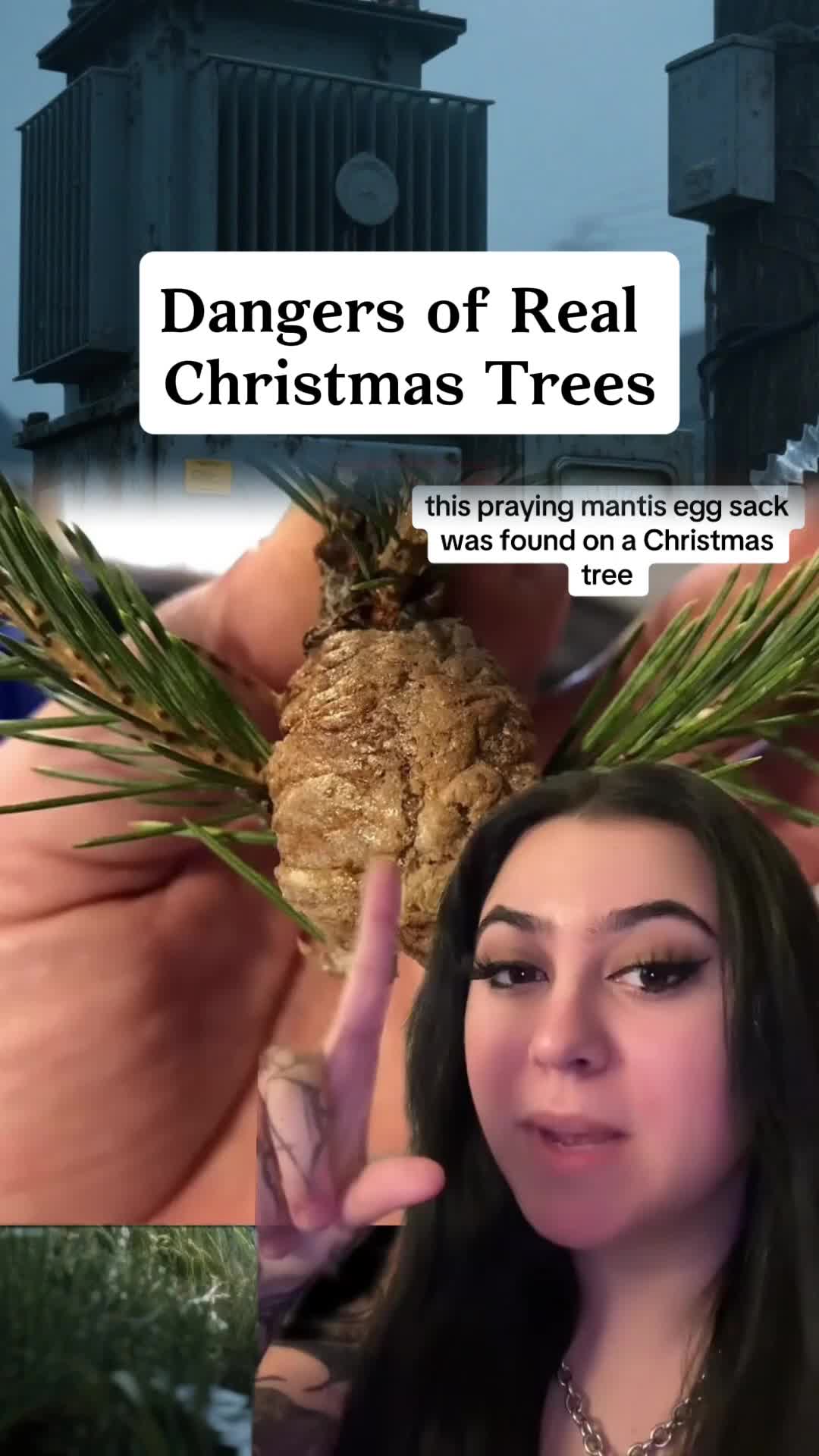 @vanhuongngo46