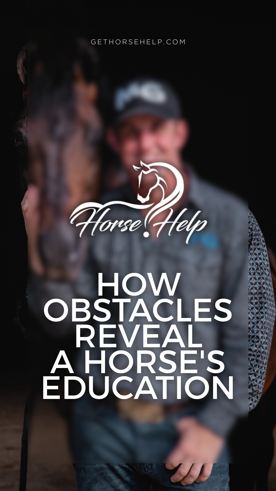 @Horse Help