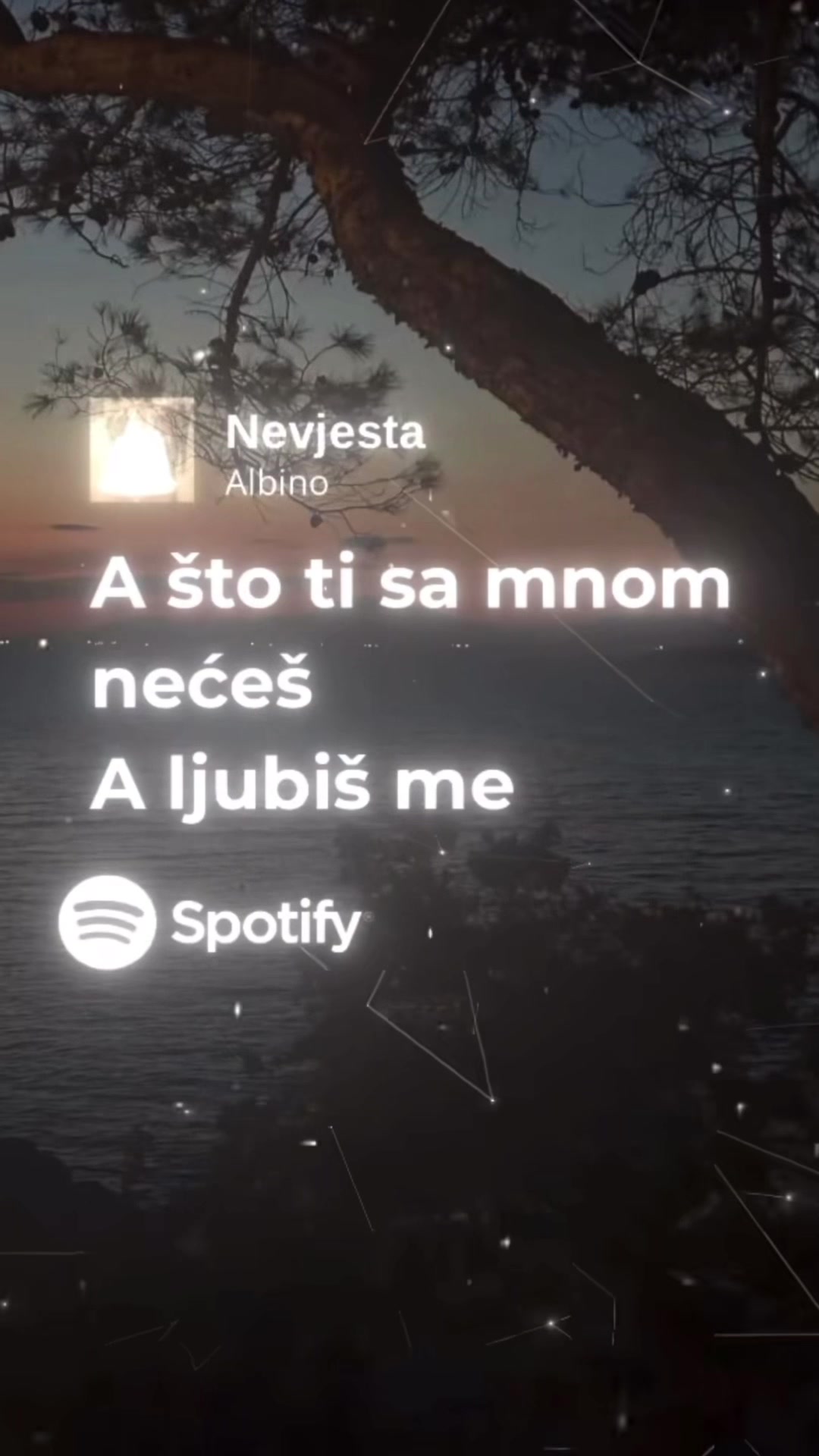 @danijelivanov311 愛💞
