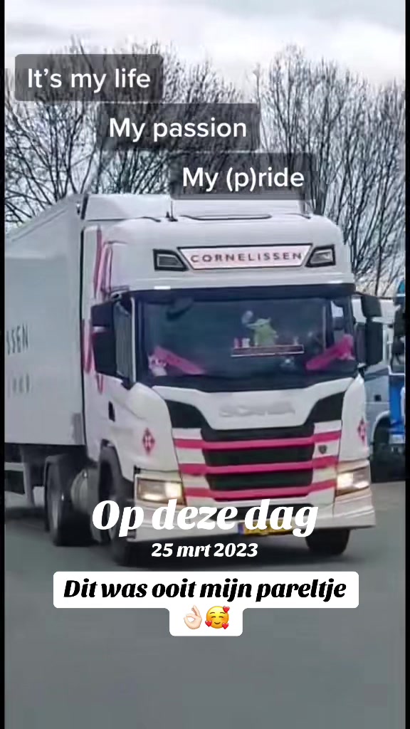 @LadytruckerBianca