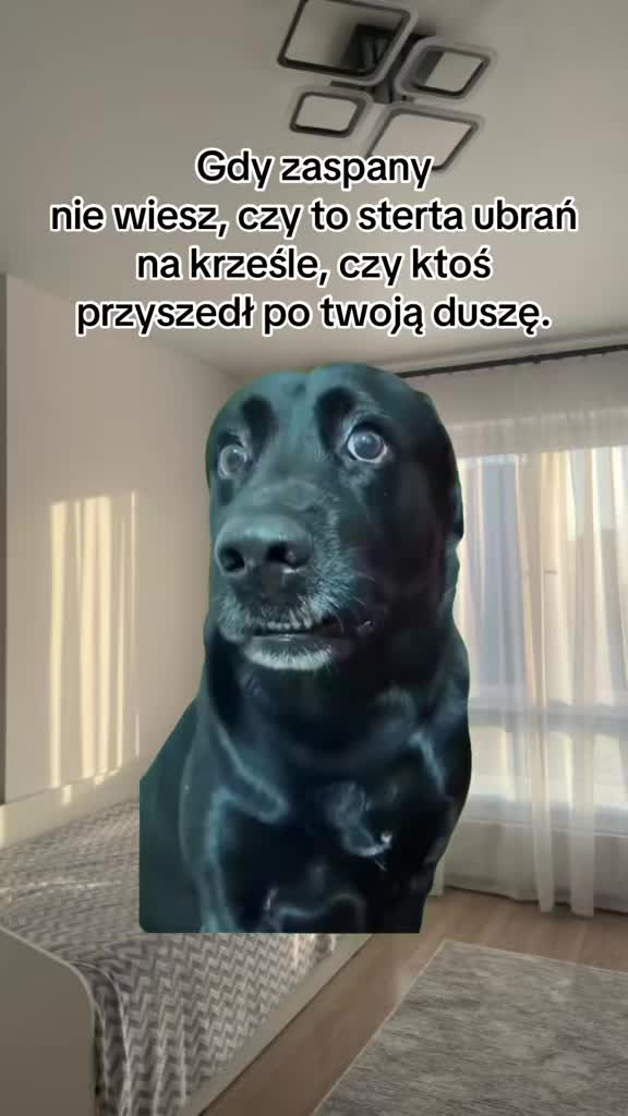 @Vita Nowak