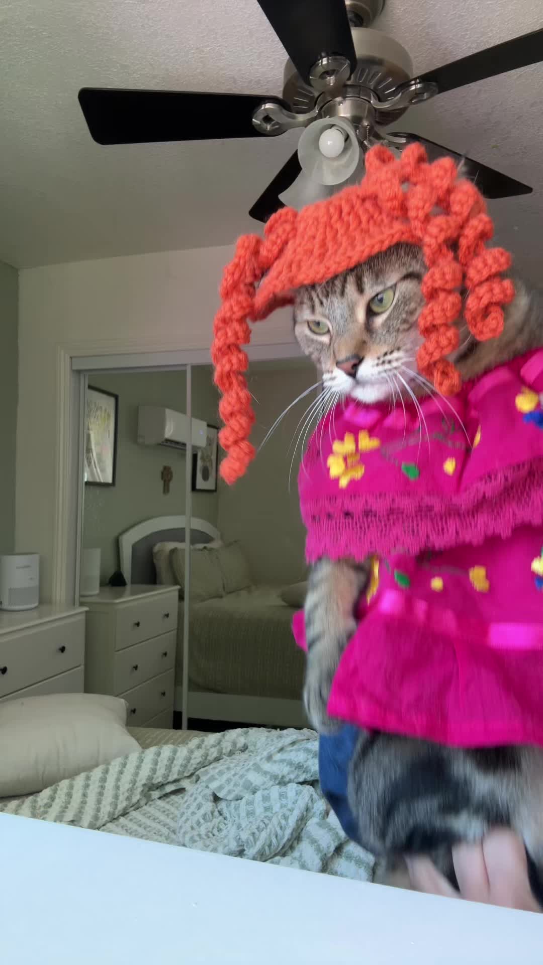 @thedancingcats13