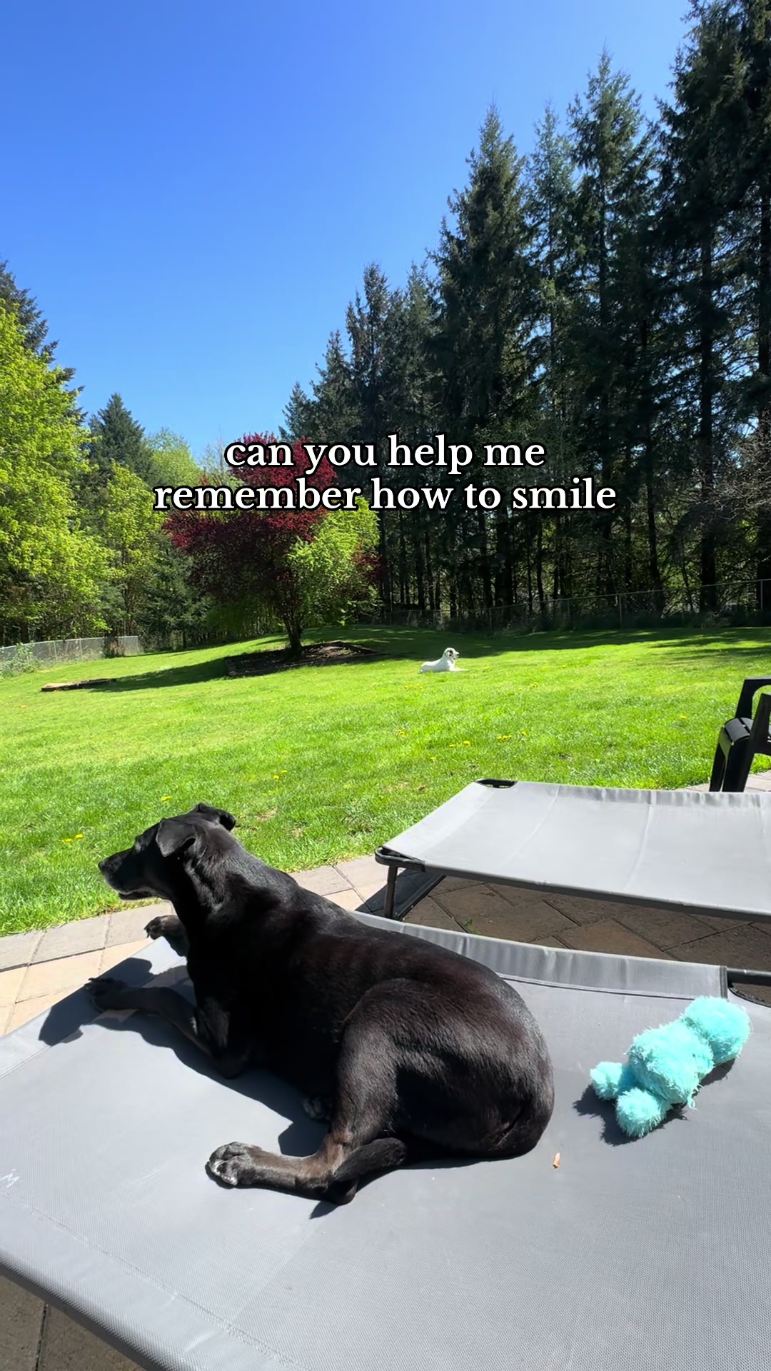 @Raising Dane