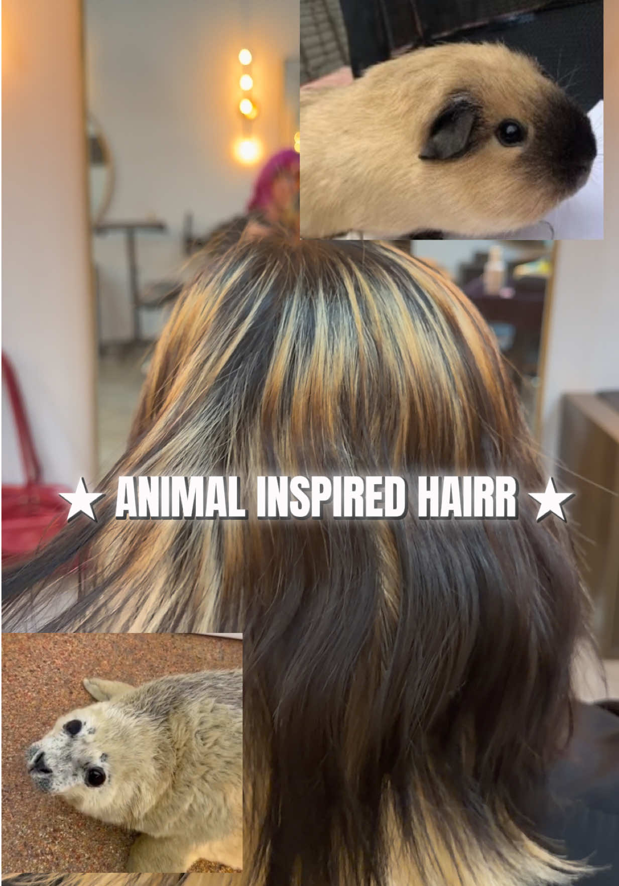 @𖦹ׂ⋆.˚ phabyl | LA HAIRSTYLIST