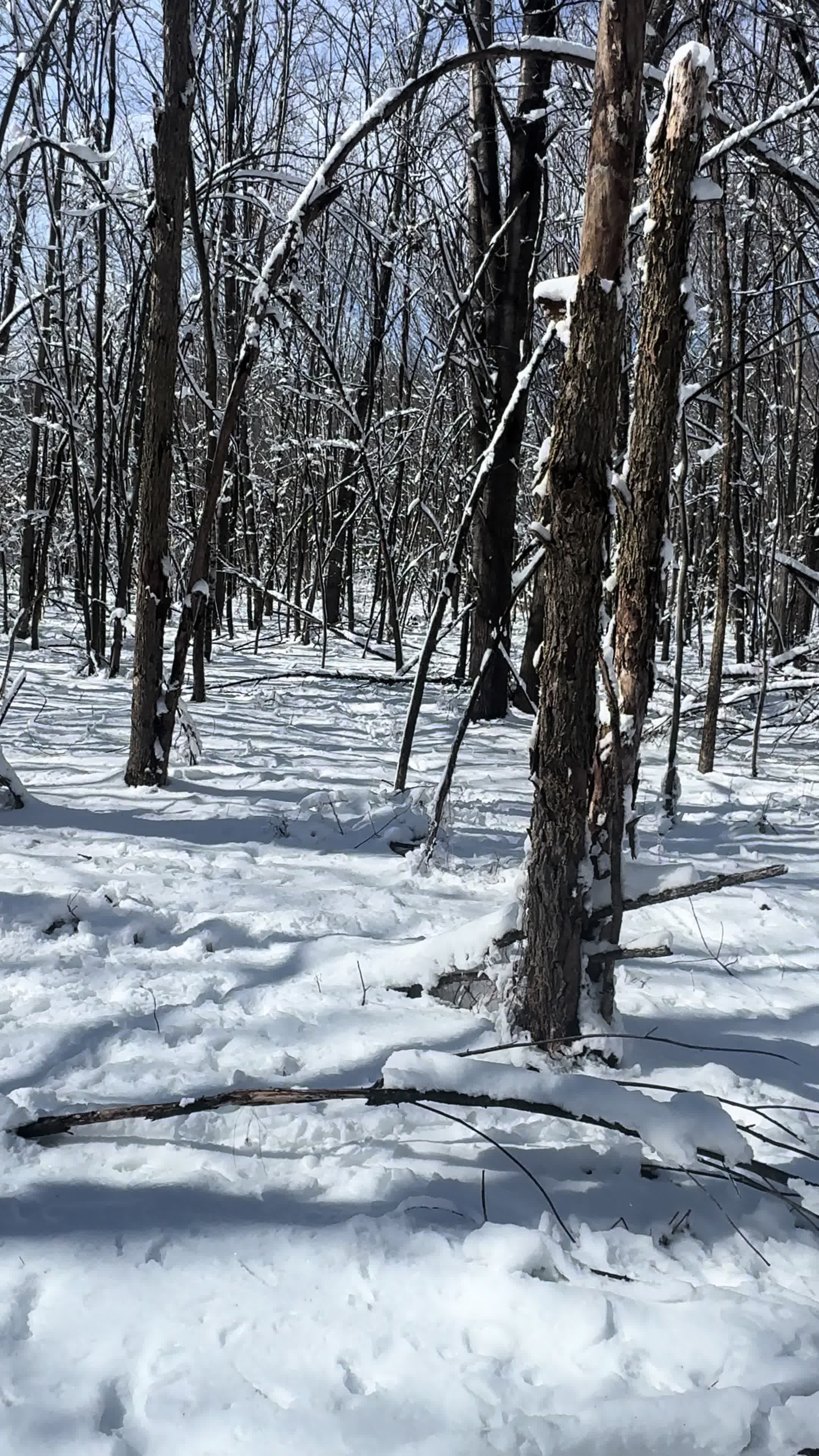 @Tri-County Outdoors