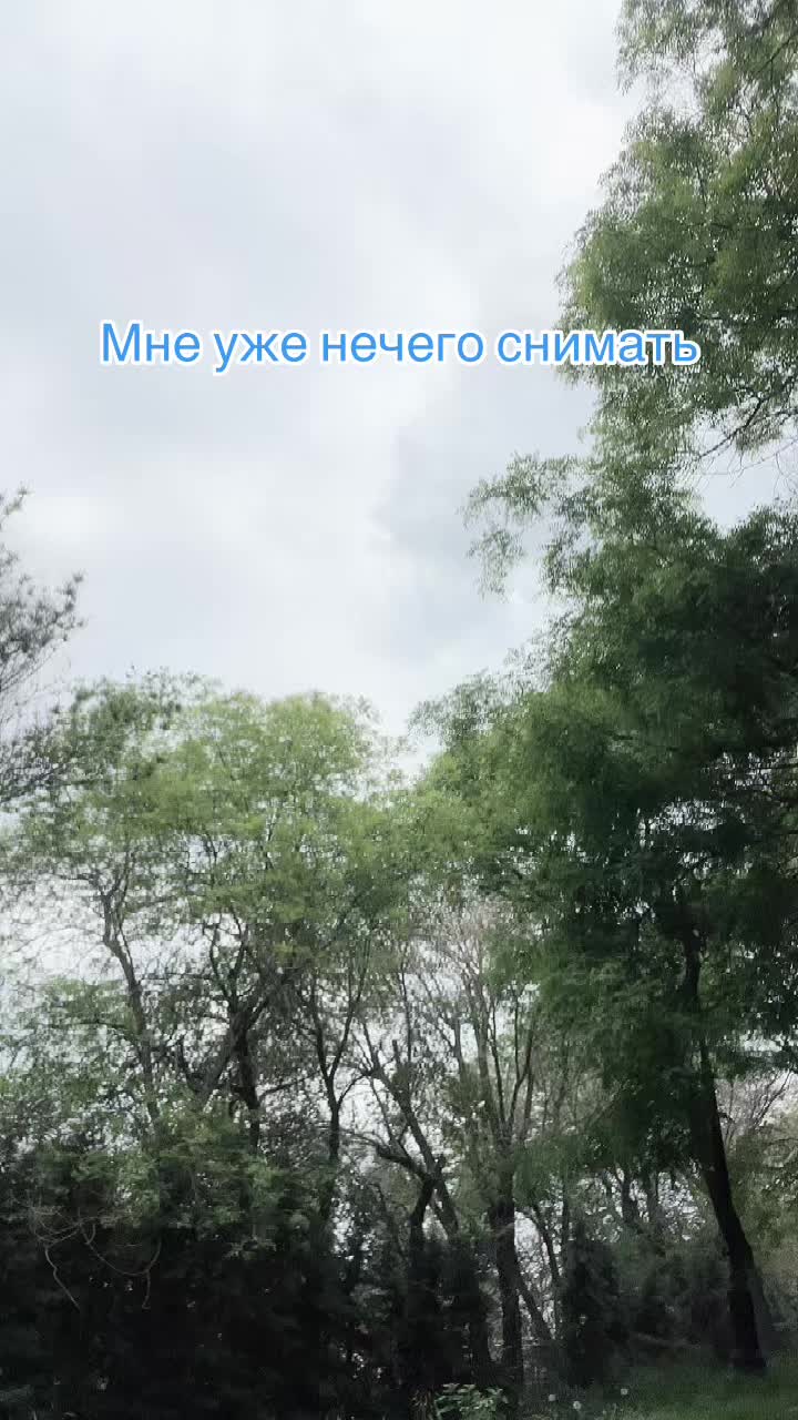@゚・✧☁️ . ᴀʟᴇxɪᴢ ꒷꒦꒷ !