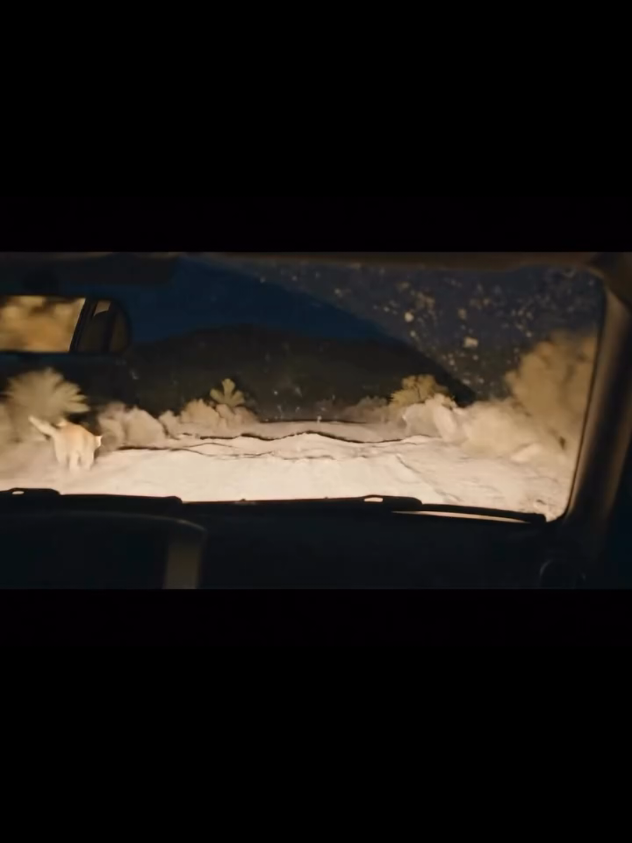 @OneMoreTime