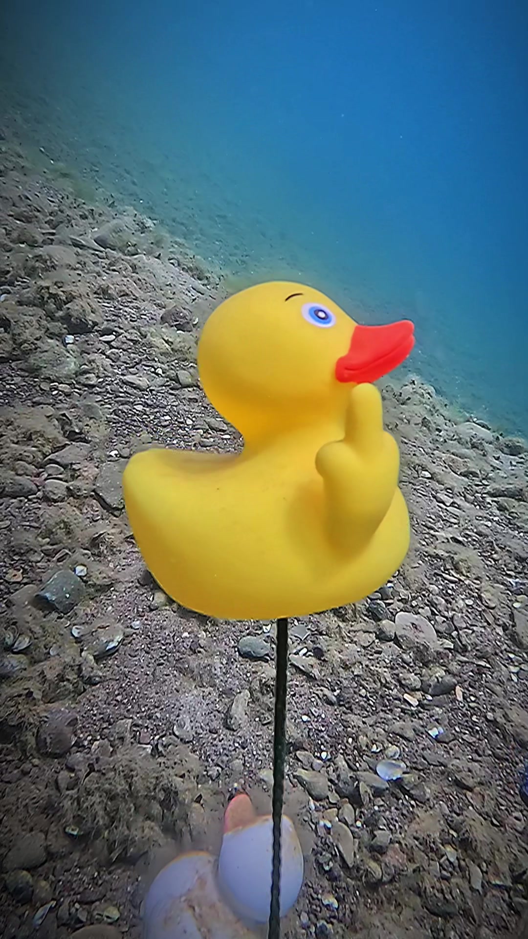 @DIVE