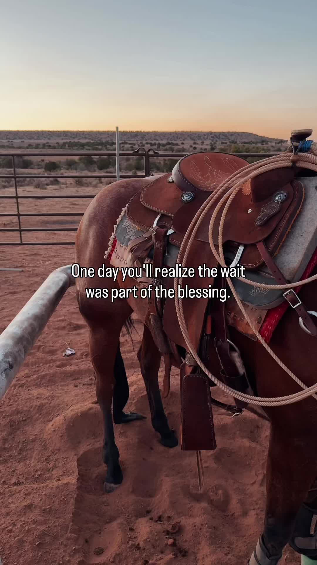 @The Cow Dude