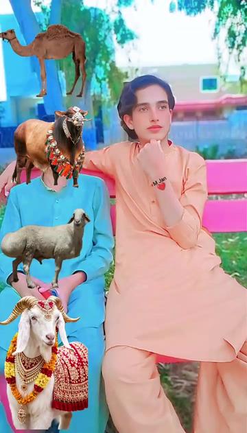 @muzammil tanoli