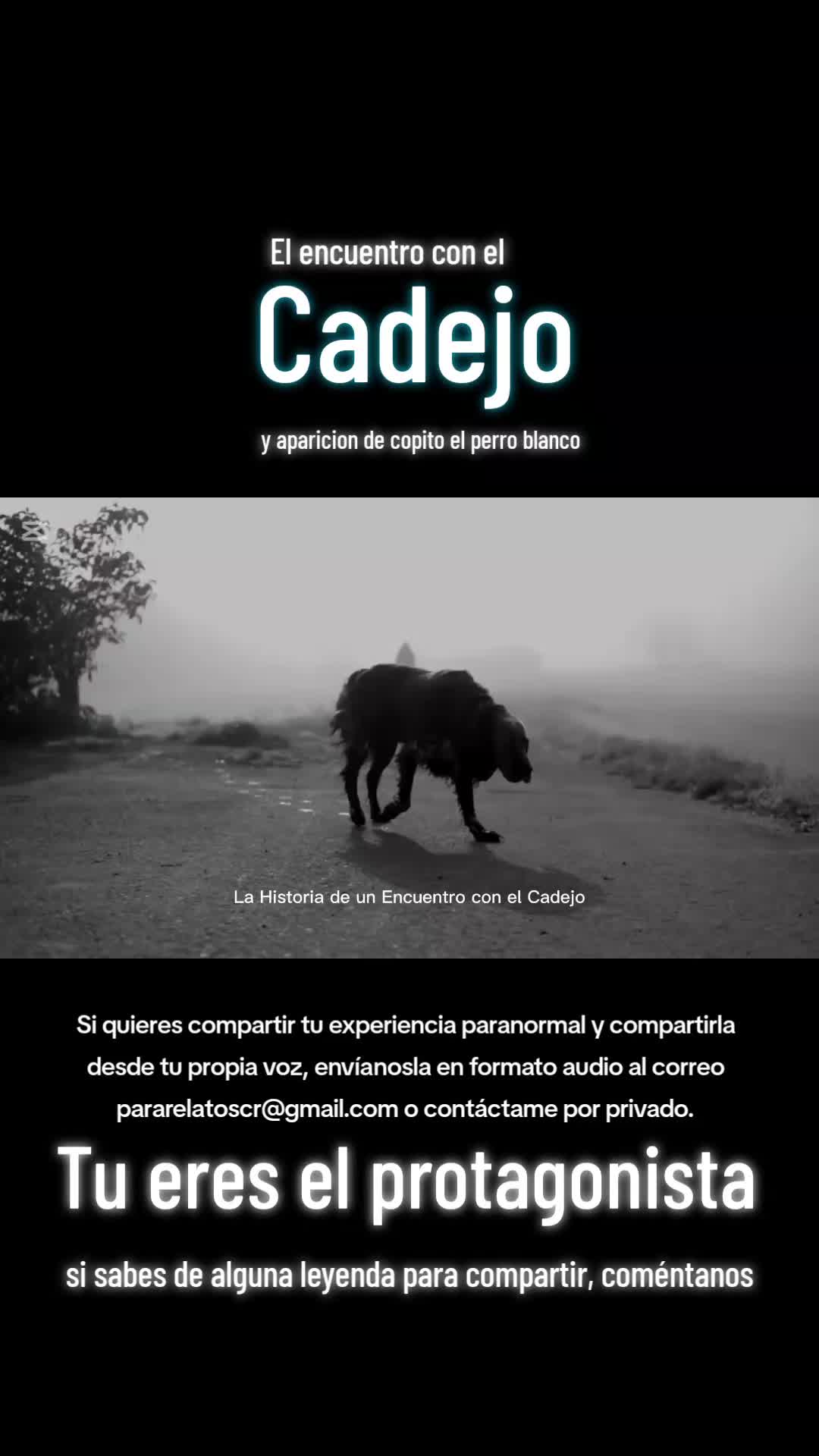@PARARELATOSCR