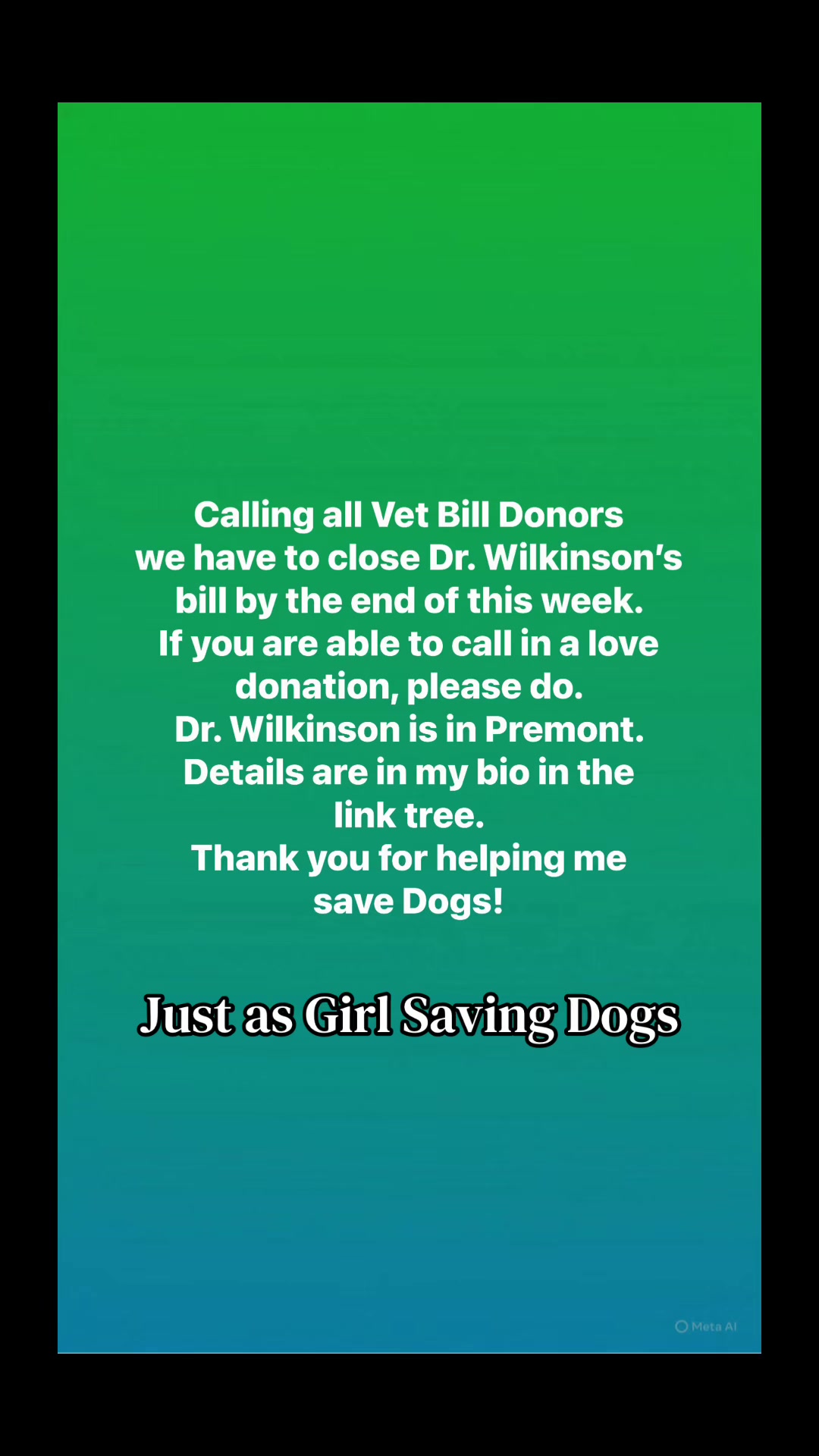 @Just A Girl Saving Dogs