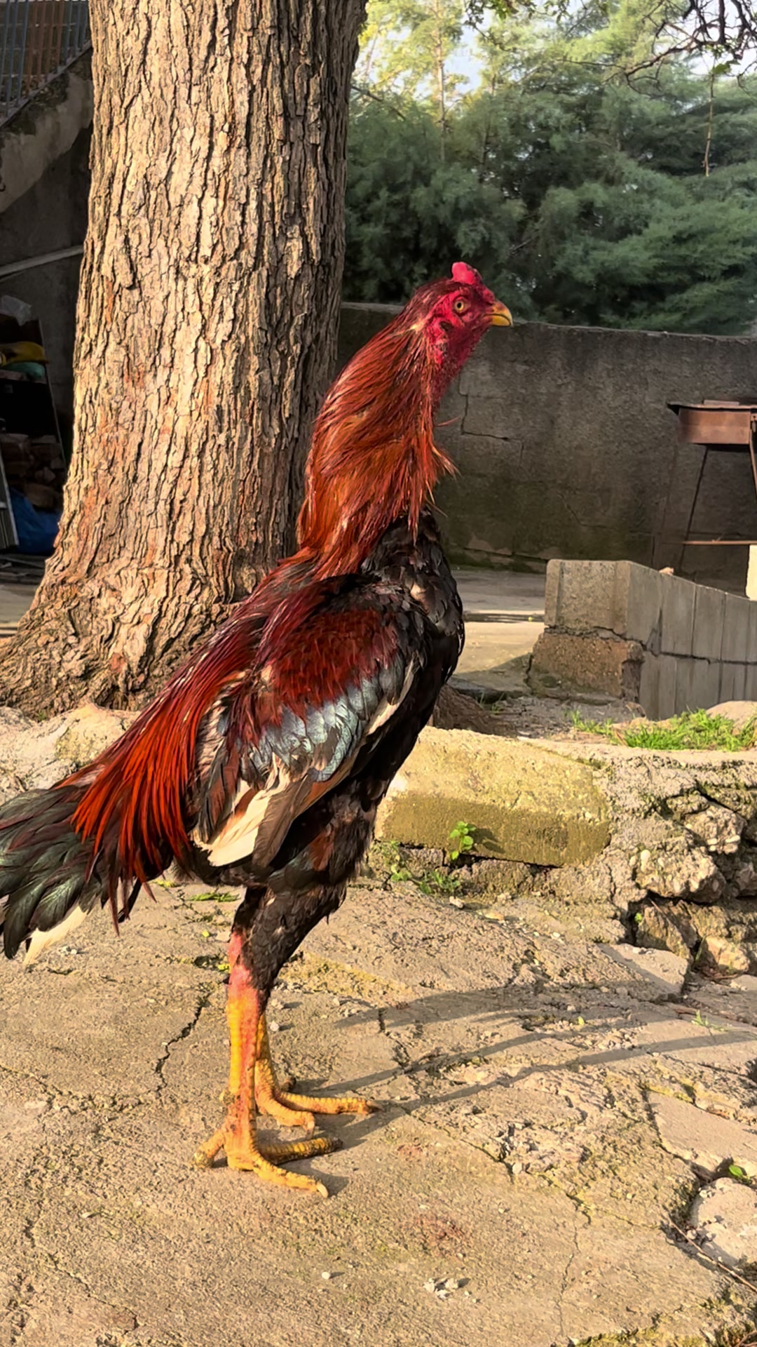 @başkoo♻️