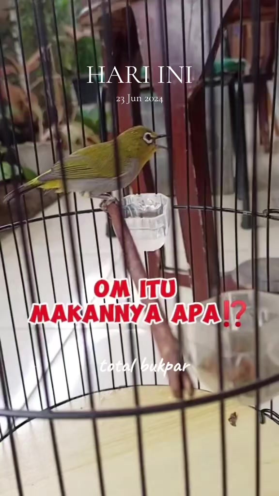 @totalbukpar