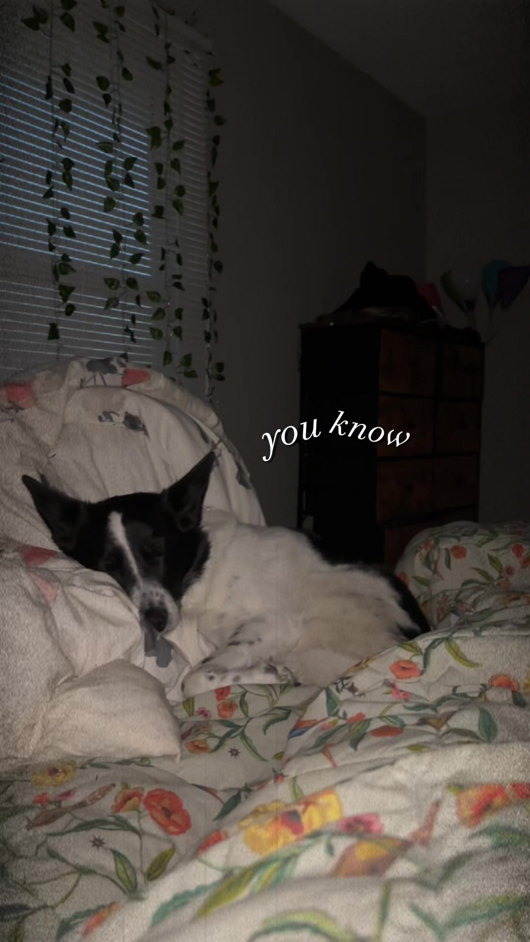 @MissyBe