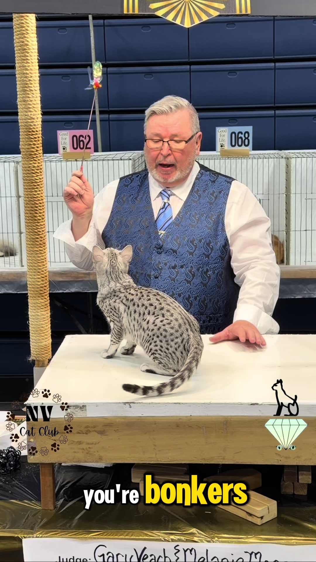 @NewVisionCatClub