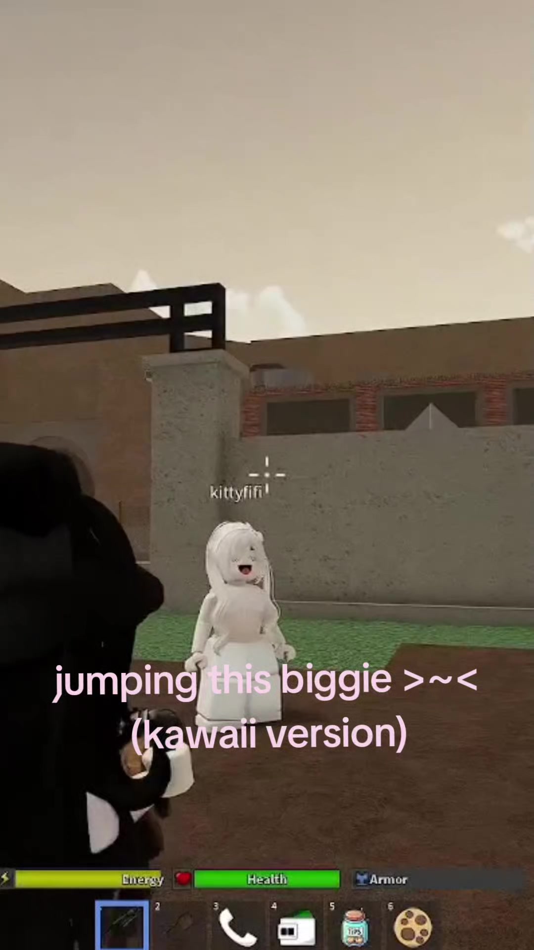 @poi 🐾