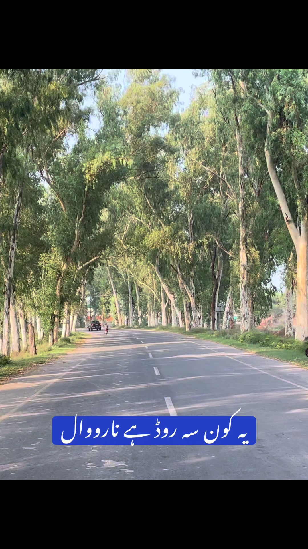 @Rehab Fatima 🇵🇰