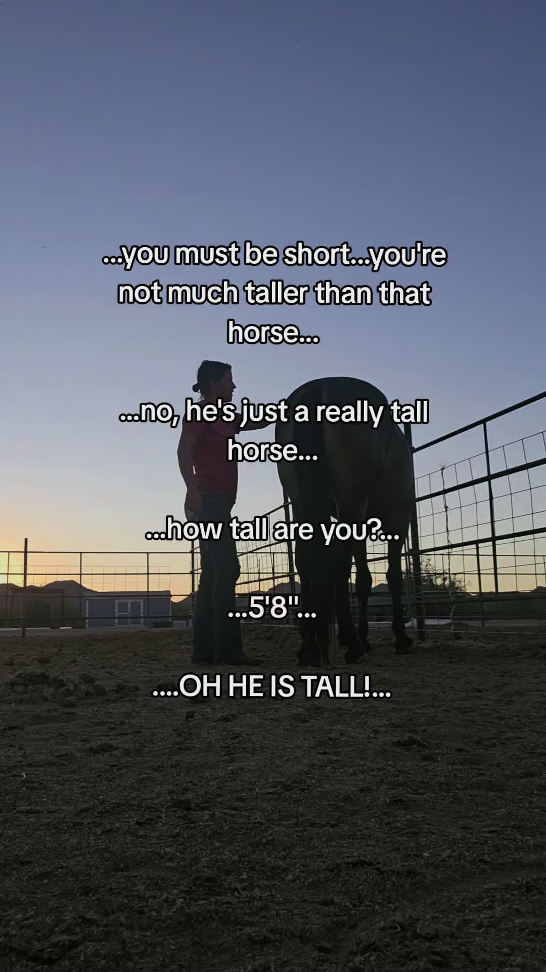 @🐎🐴picture perfect🐴🐎
