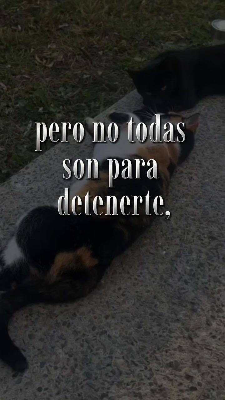 @🇲🇽Guli.Carrada 🐈⬛