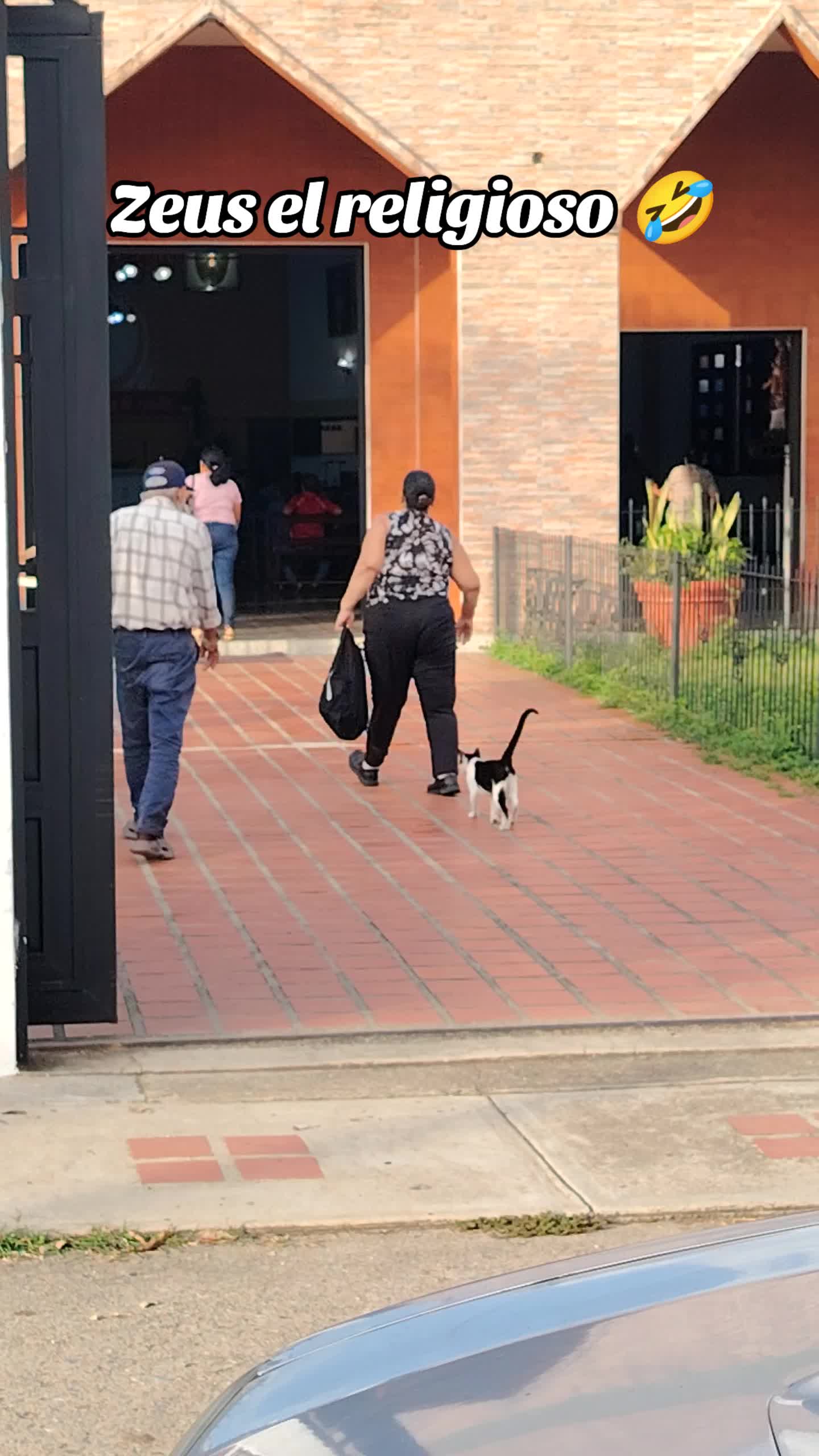 @Patitas y Garritas en la Calle