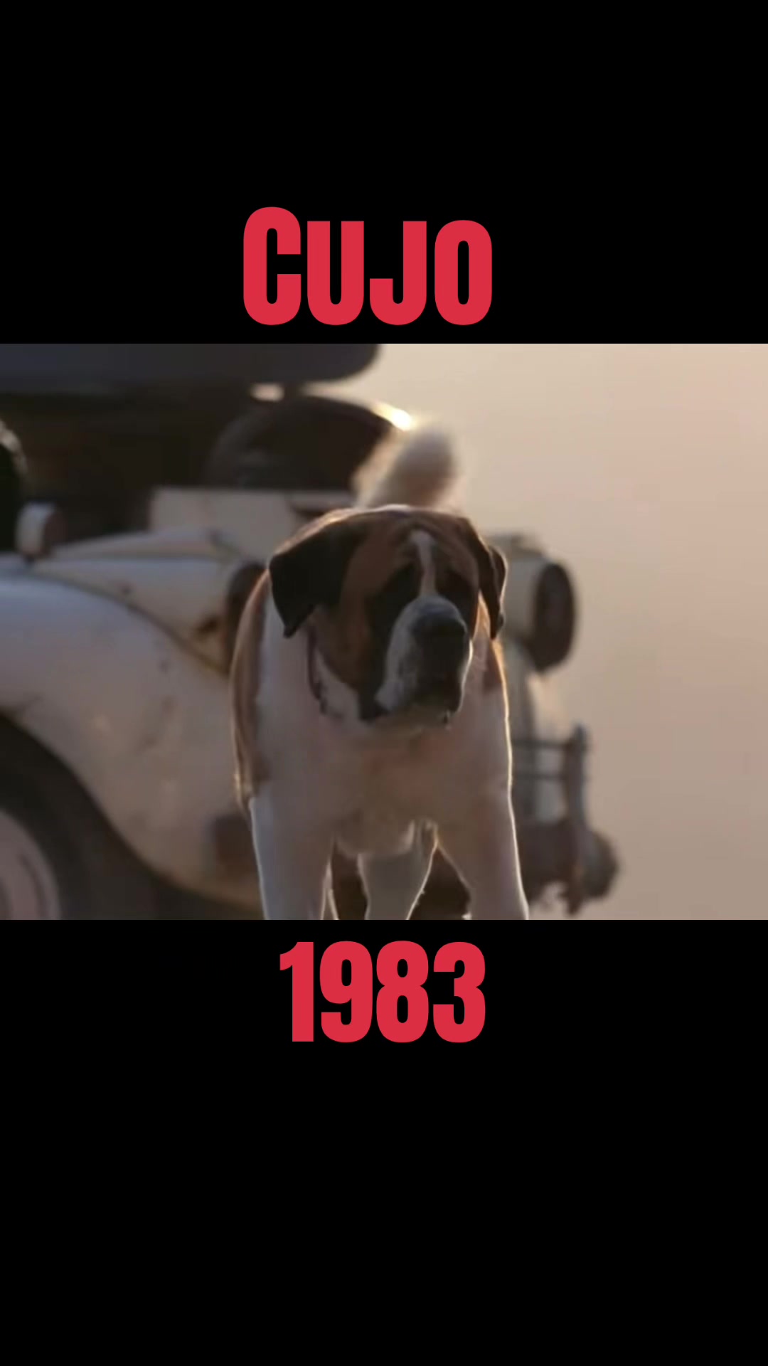 @user57958142125