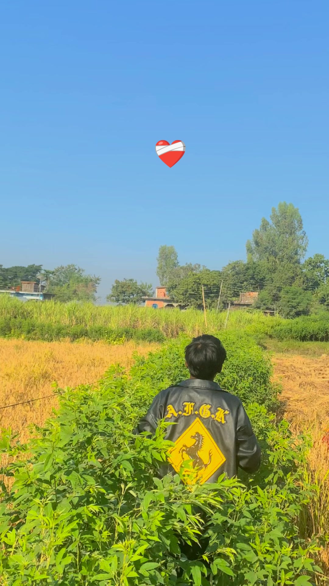 @मनिस कान्छो 🥷