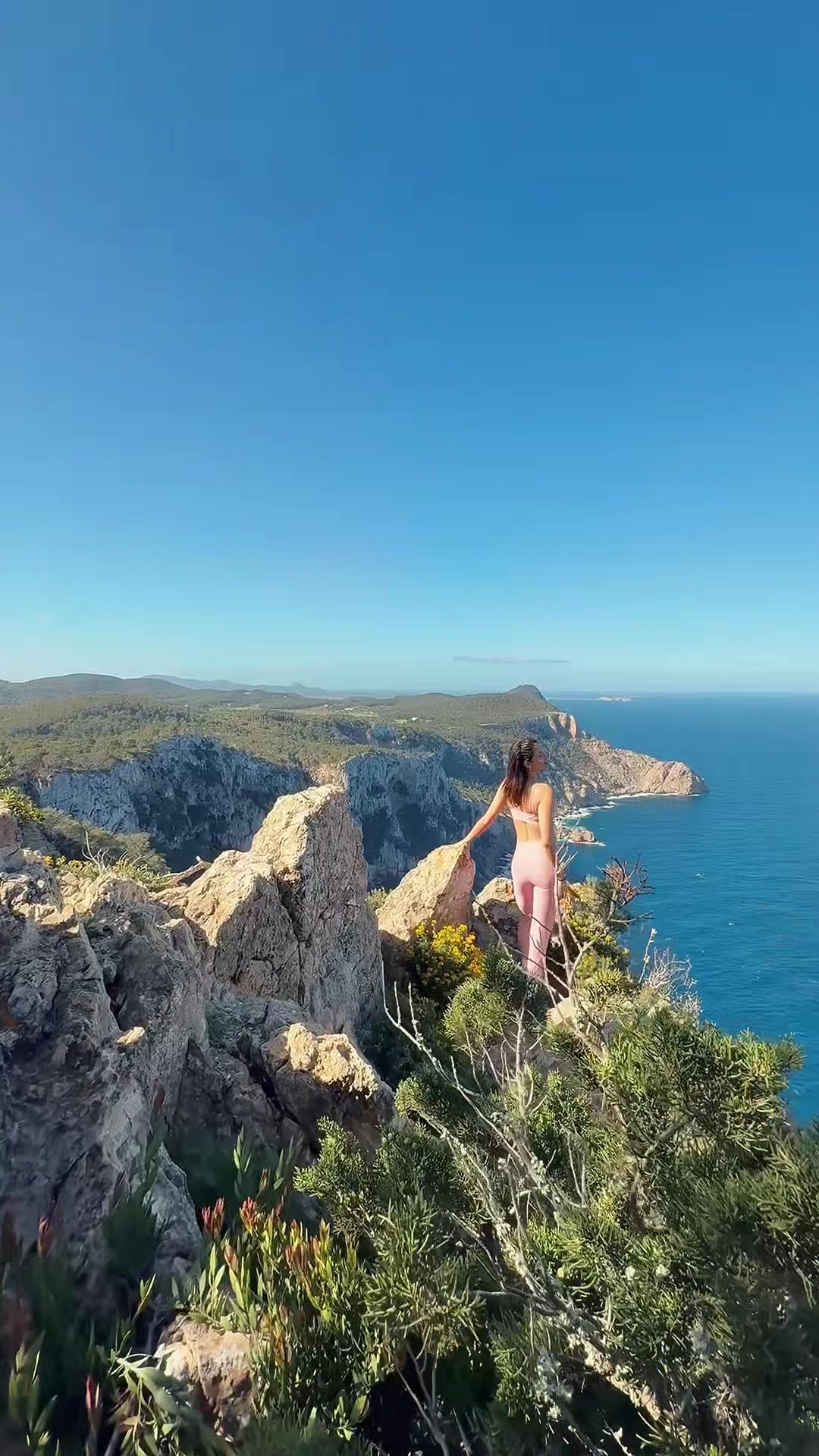 @faddyahalabi