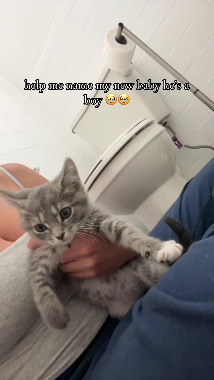 @aaliyahhhh