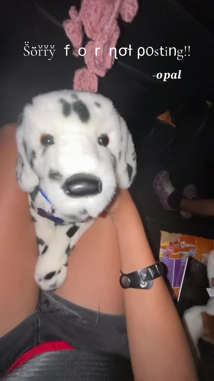 @‼️ 🐕🦺𝓸𝓹𝓪𝓵+𝓱𝓸𝓹𝓮✩🎧🎸