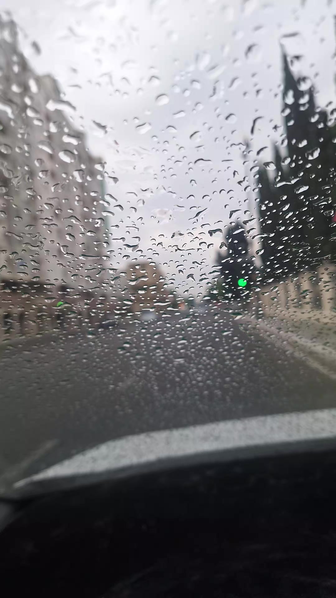 @Paşayev.İ