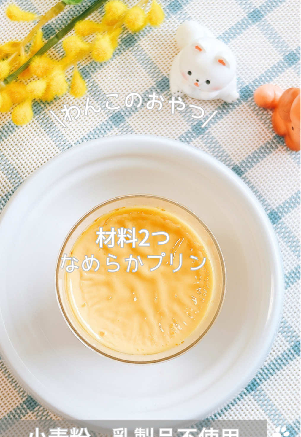 @ゆきえもん|手作り愛犬おやつ